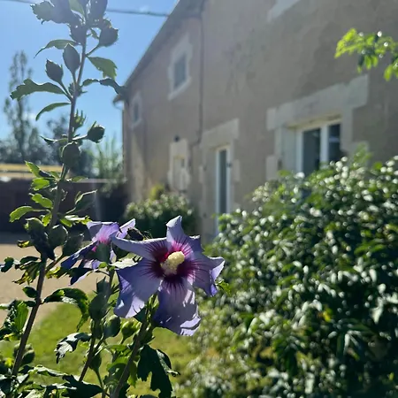 Historic Manor Estate In The Heart Of * Journet